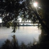 Boat trips on River Drava